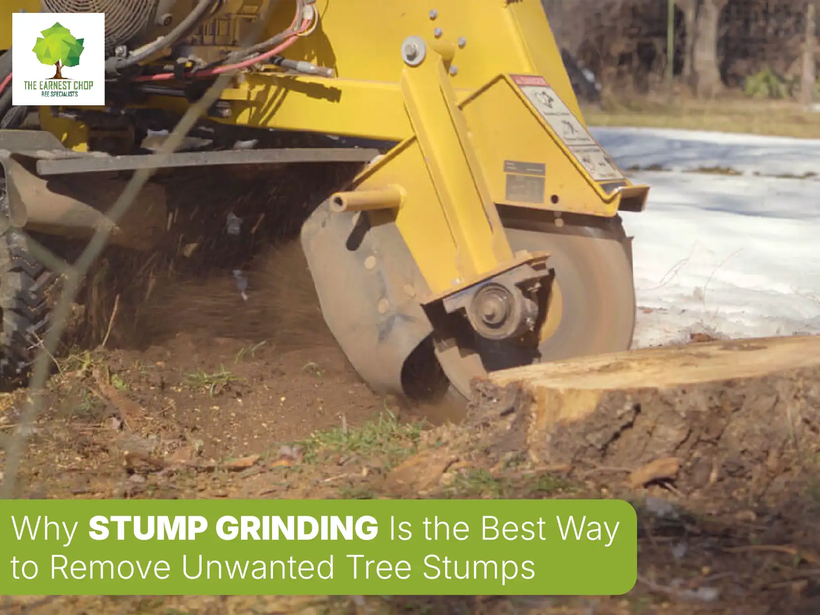 Why Stump Grinding Is the Best Way to Remove Unwanted Tree Stumps