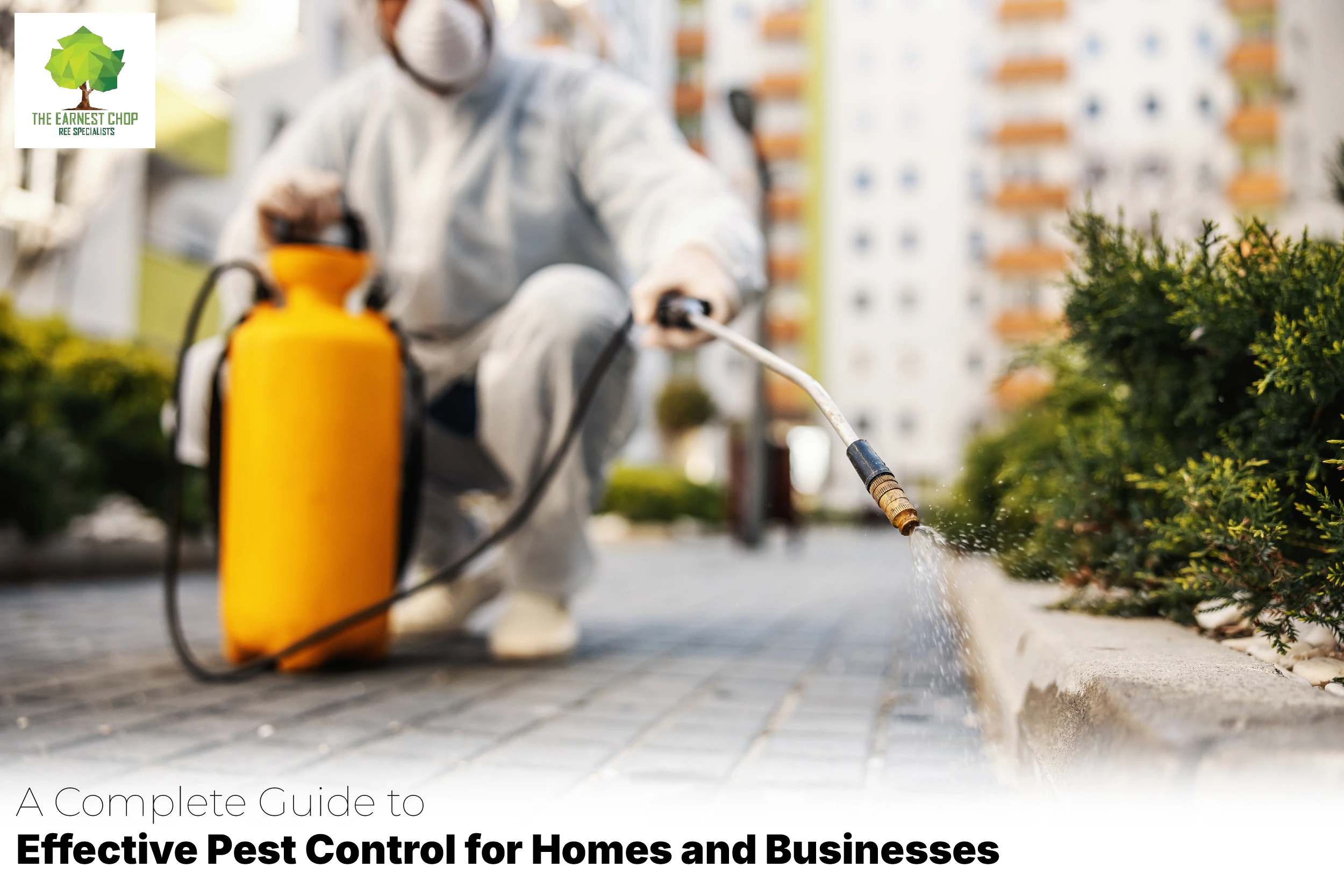 Effective Pest Control